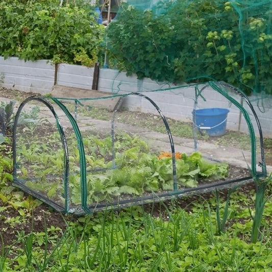 Transparent Mini Plant Greenhouse Plastic Waterproof