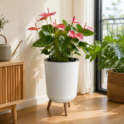 Self‑Watering Raised Planter with Water Level